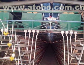 滎陽市高村大張強勝機器廠 畜牧養(yǎng)殖業(yè)設(shè)備熱賣促銷及供應(yīng)商解析