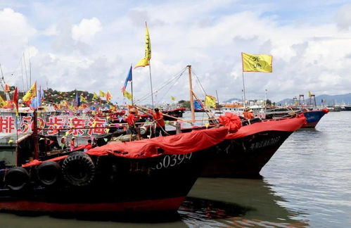 第十八屆南海陽江開漁節(jié)隆重舉行，全省漁船揚帆起航，畜牧漁業(yè)飼料銷售迎來新機遇